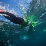 Manly Snorkeling Tour: Explore Cabbage Tree Bay ‘s Vibrant Marine Life