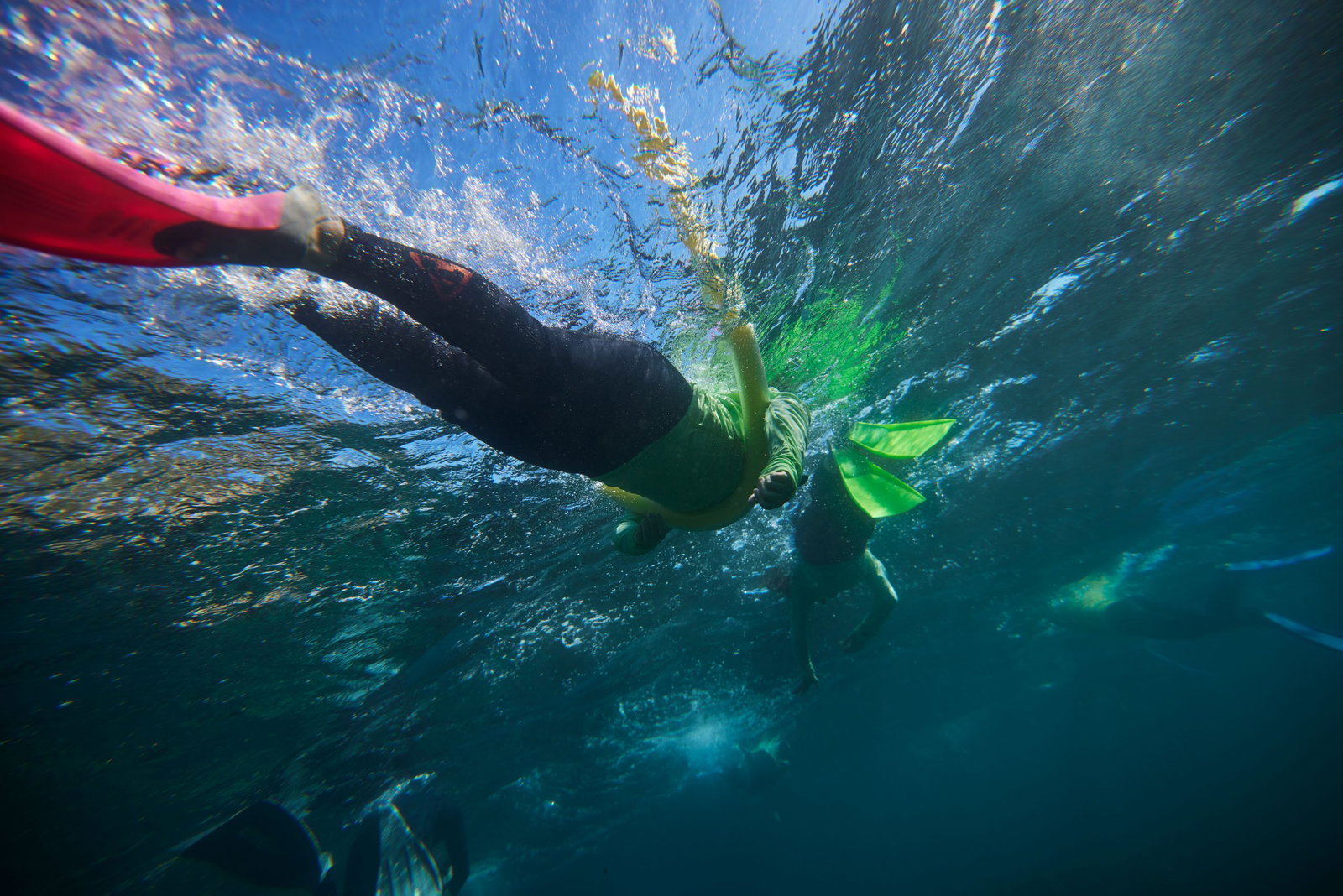 Manly Snorkeling Tour: Explore Cabbage Tree Bay ‘s Vibrant Marine Life Manly Snorkeling Tour: Explore Cabbage Tree Bay ‘s Vibrant Marine Life