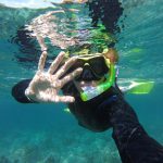 Manly snorkel tour shelly beach