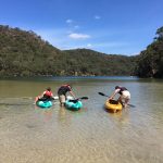 Sydney to Ku-ring-gai Wildlife Adventure Tour