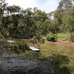 SUP Lessons sydneys northern beaches