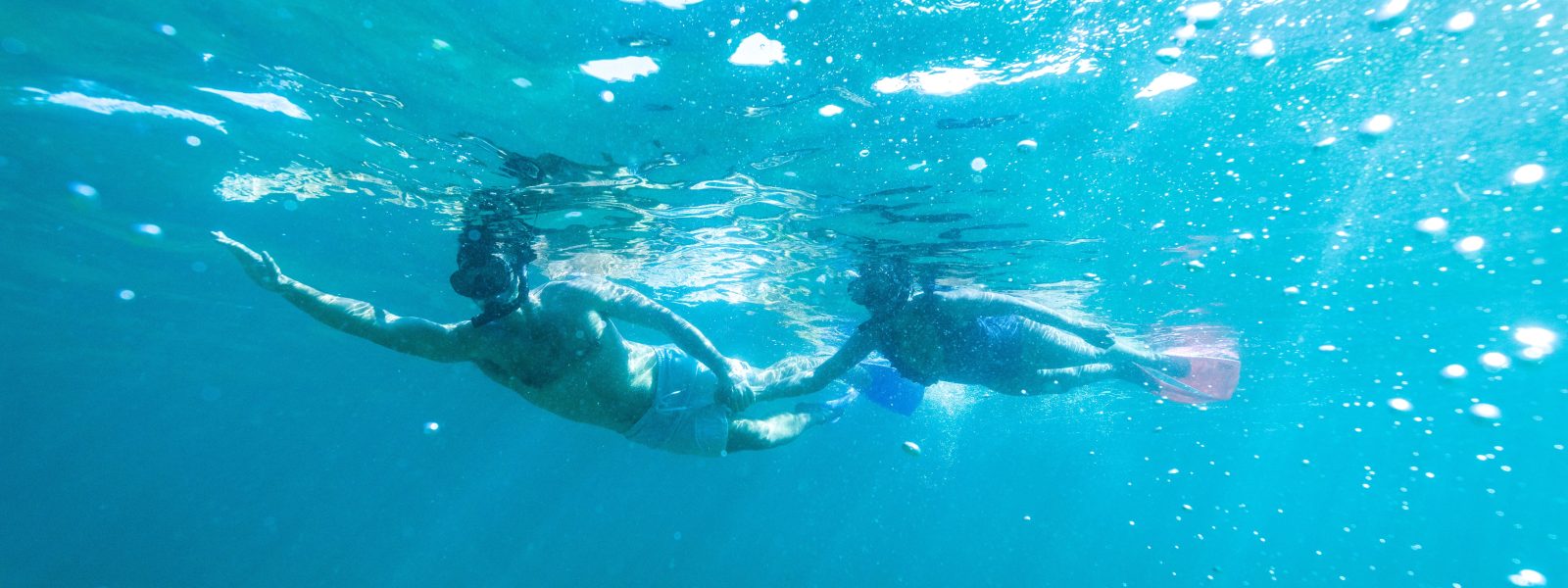 Snorkelling Shelly Beach, Manly eco tour Snorkelling Shelly Beach, Manly eco tour