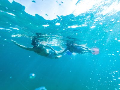 Snorkelling Shelly Beach, Manly eco tour