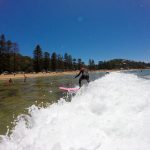 Palm beach day tour surfing private touring