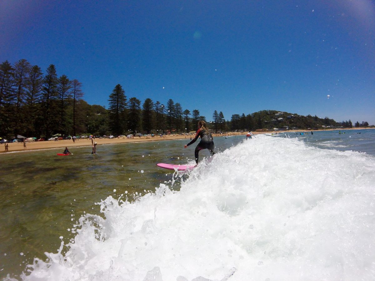 Palm beach day tour surfing private touring Palm beach day tour surfing private touring