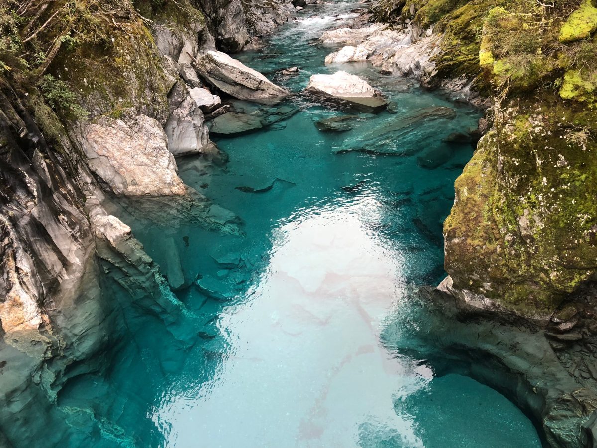 ECOTREASURES Blog NZ trip ECOTREASURES Blog NZ trip