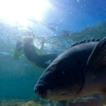 snorkel in beautiful manly